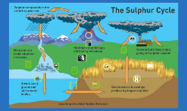 sulfur article