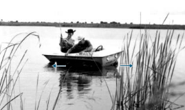 On the rainy river essay