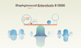 Staphylococcal Enterotoxin B (SEB) By Arnie Vargas On Prezi