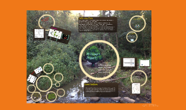 IB Group 4 Project by Alejandro Fuentes on Prezi