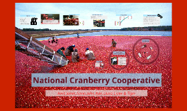 national cranberry cooperative abridged essay Processing chart of ncc operation flowchart of national cranberry cooperative operations national cranberry cooperative 1996 case analysis essay. national cranberry cooperative abridged essay Processing chart of ncc operation flowchart of national cranberry cooperative operations national cranberry cooperative 1996 case analysis essay.
