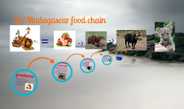 madagascar food chain by peyton sieger on Prezi